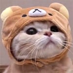 Camilo Acosta avatar