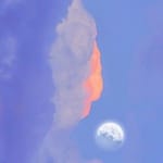 Juana Villaseñor avatar